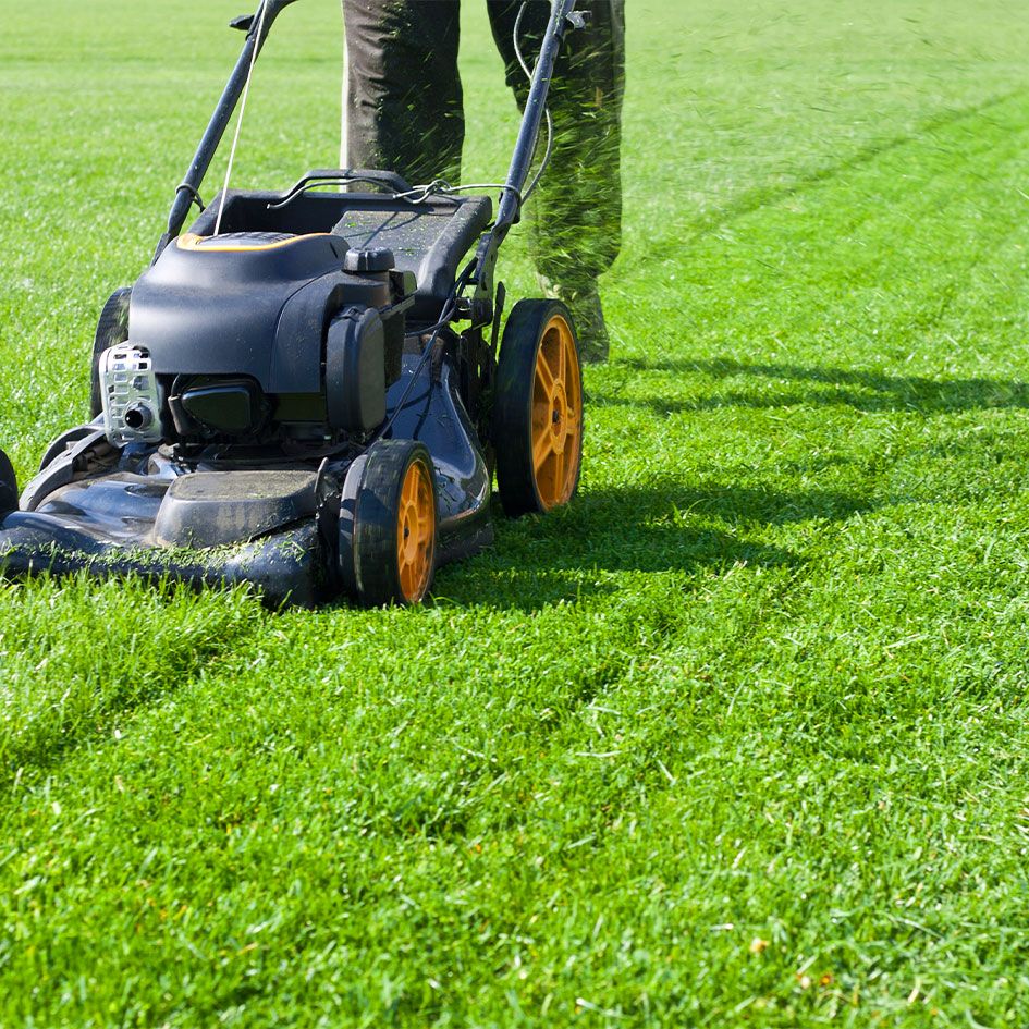 Lawn Mower Icon